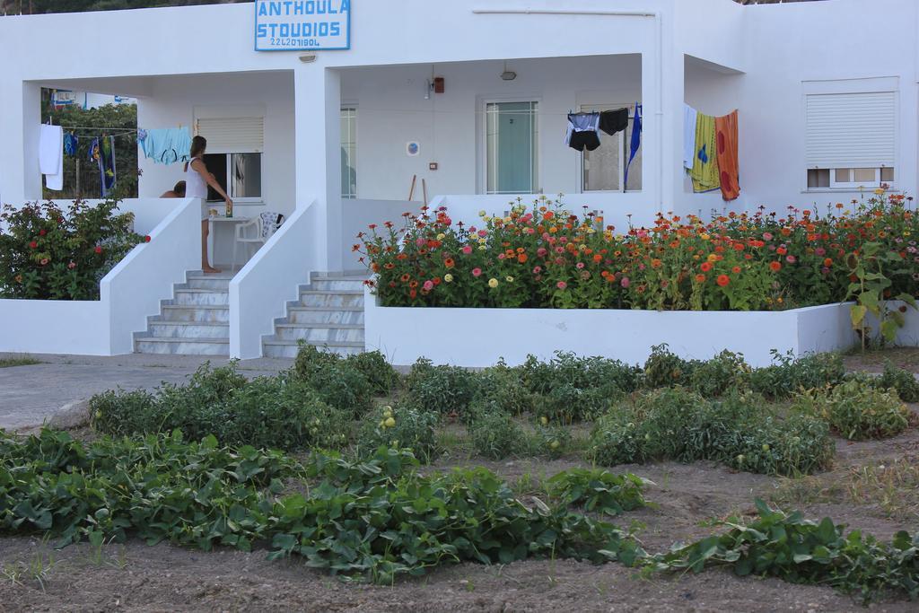 Studio Anthoula Kéfalos الغرفة الصورة